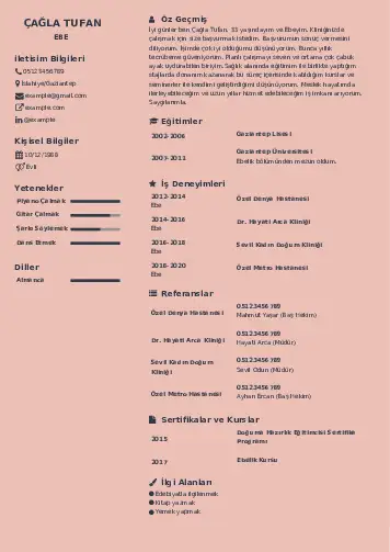 Ebe Cv Örnekleri cv indir